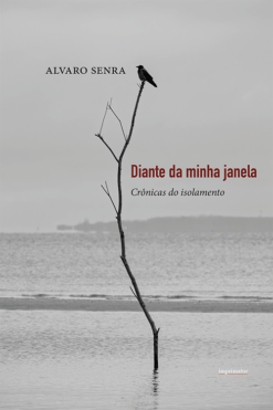 Diante da minha janela